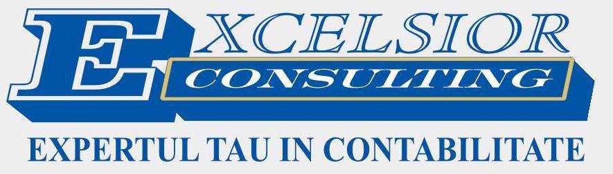 EXCELSIOR CONSULTING